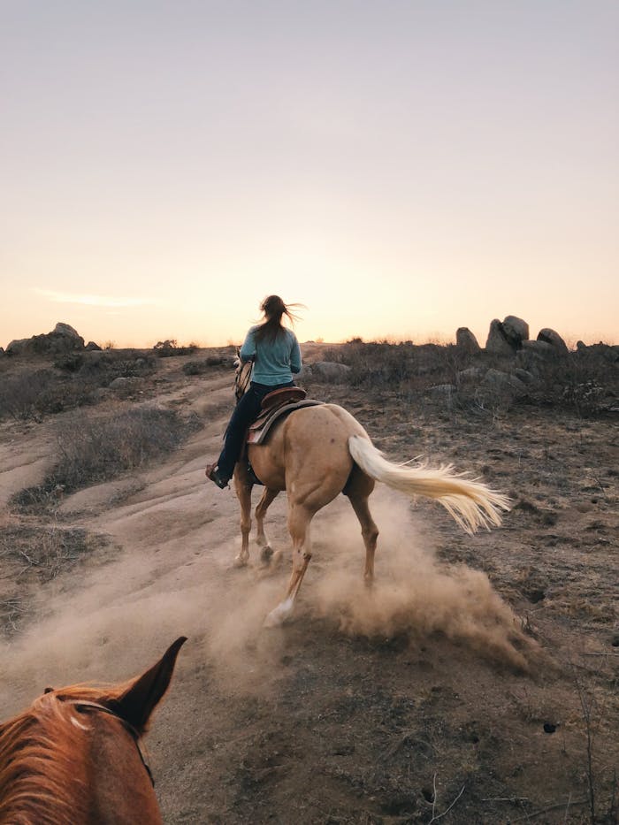 pexels-photo-3490257 Capture the thrill of horseback riding through dusty trails in California's scenic landscape.