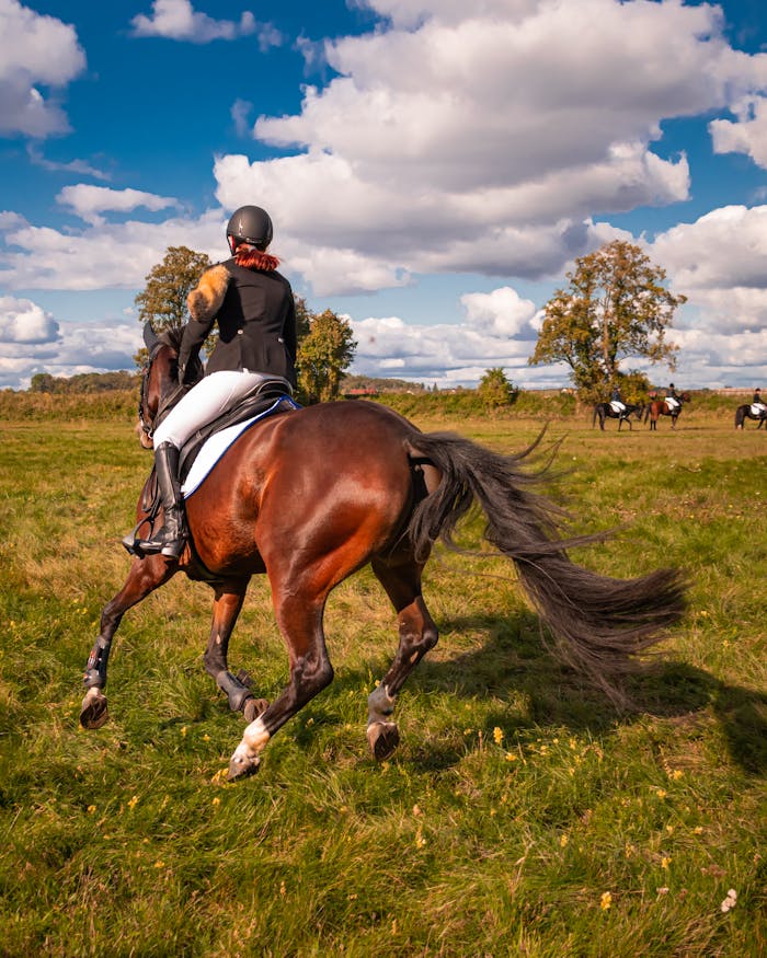 pexels-photo-3723115 An equestrian rider competes in an open field on a sunny day with blue skies and clouds.